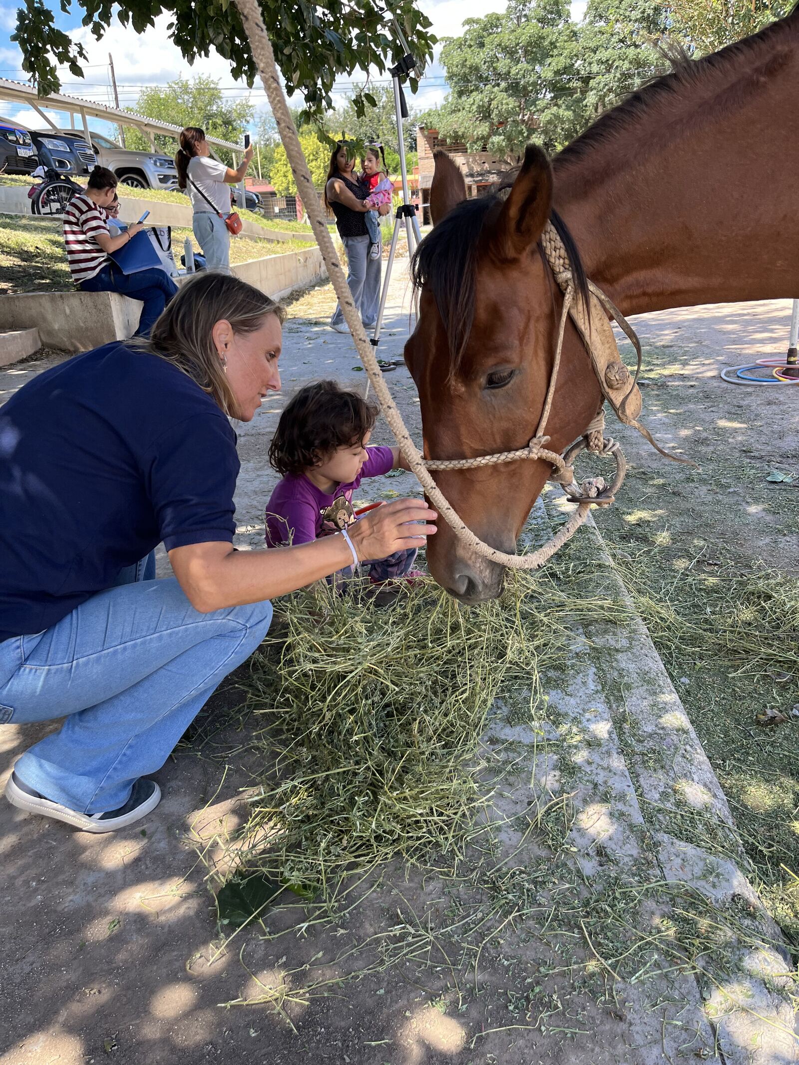 Una profesional y una nena le dan pasto al caballo de la equinoterapia.